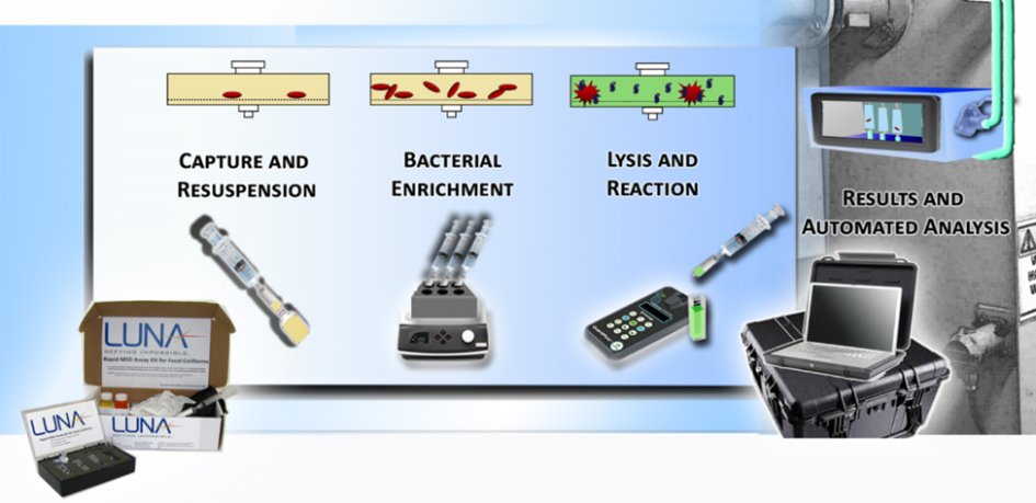 Luna’s fecal coliform detection assay kit known as E.coREADi™ is designed for rapid E. coli detection and quantification.